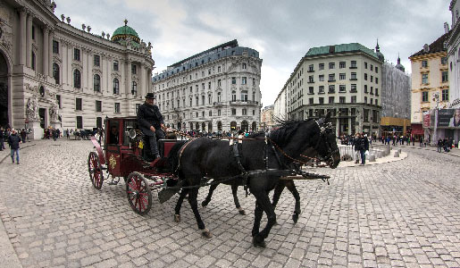 Visita Vienna