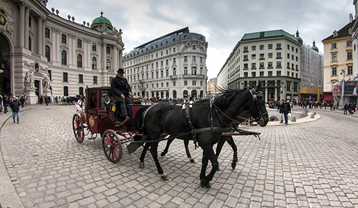 Visita Vienna