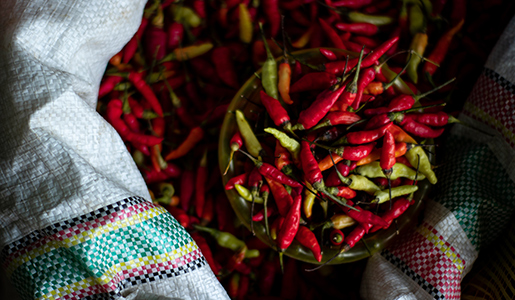 A spicy journey in Calabria
