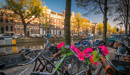 Visit Amsterdam