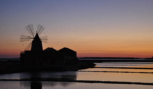 Visit Reserve of the Stagnone di Marsala