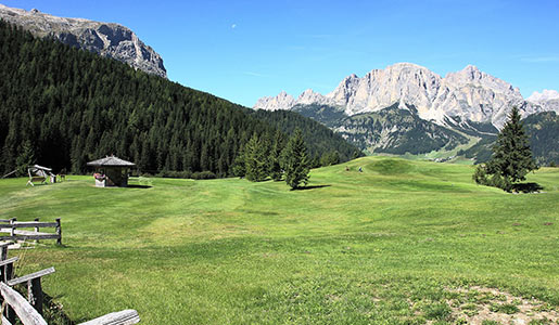 Visit Adamello Brenta Park