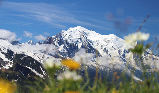 Visit Gran Paradiso National Park