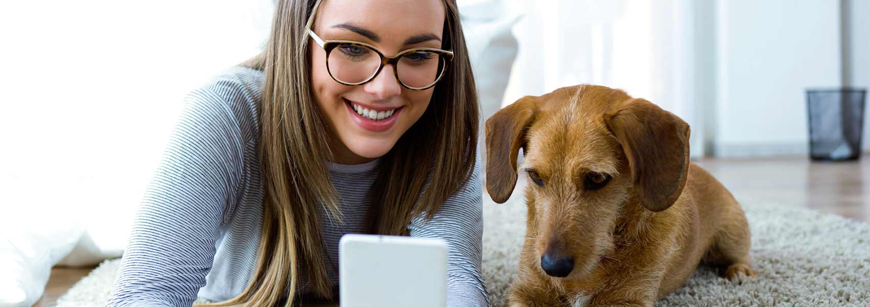 Hotel Pet Friendly