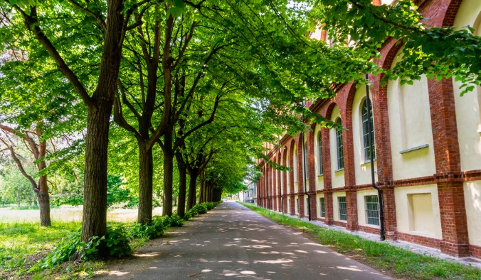 Collegno
